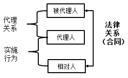 一級(jí)建造師法規(guī)知識(shí)點(diǎn)：代理制度