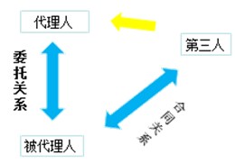 建設工程代理法律關(guān)系